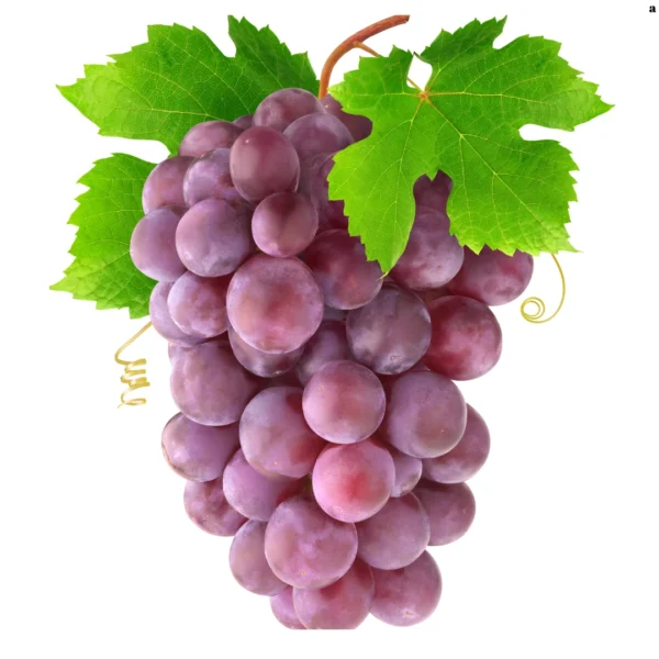 Redglobe Üzüm