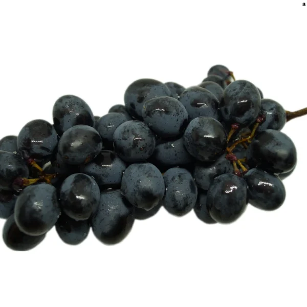 Siyah Üzüm